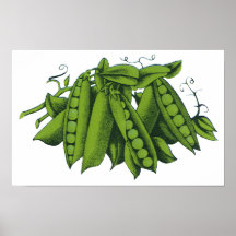 Vintage Vegetables; Sugar Snap Peas Posters