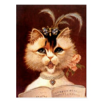 Vintage Victorian Partor Cat in Jewels Postcard postcards