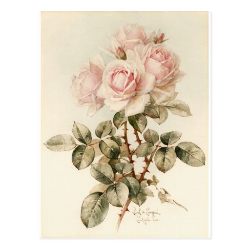 Vintage Victorian Romantic Roses Post Cards