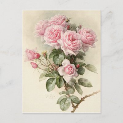 Vintage Victorian Romantic Roses Post Card