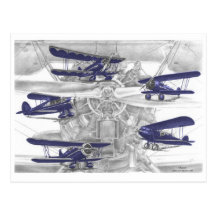 Vintage Waco Biplane - Old Bi Wing Airplanes Postcards