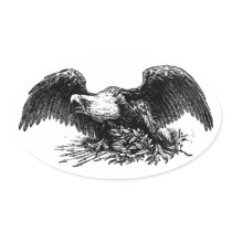 Vintage War Eagle Sticker