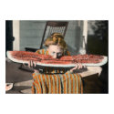 Vintage Watermelon Eating poster posters by photoinspiration Vintage Watermelon Eating poster posters