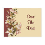 Vintage Wedding Save The Date Postcard