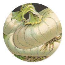 Vintage White Bermuda Onions Seed Packet Label Art Sticker