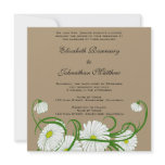 Vintage White Gerber Daisy Flowers Wedding Set Announcements