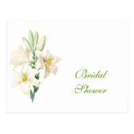 Vintage white lily flowers bridal shower postcards post card