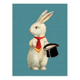 Vintage White Rabbit Postcard