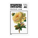 VINTAGE WHITE ROSE POSTAGE STAMPS