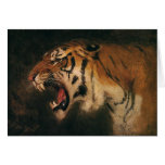Vintage Wild Animal, Bengal Tiger Roar Roaring Cards
