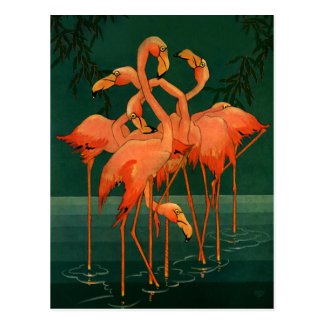 Vintage Wild Animals Birds, Pink Flamingos Tropics Postcard