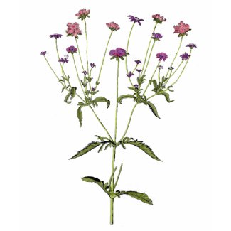 Vintage Wildflower Shirt zazzle_shirt
