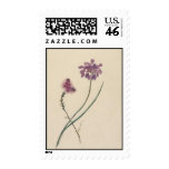 Vintage Wildflowers: Pink and Purple Wildflowers Stamps