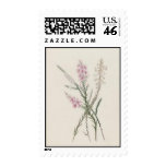 Vintage Wildflowers: Pink Wildflowers Stamps