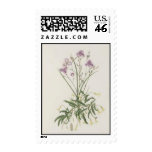 Vintage Wildflowers: Purple Wildflowers Postage Stamp