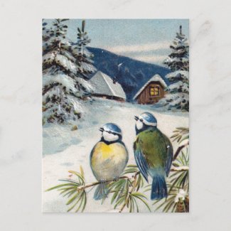 Vintage Winter Postcard With Birds postcard