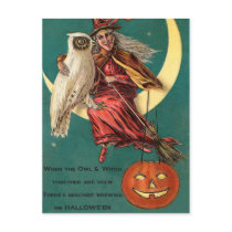 Vintage Witch and Owl Postcard