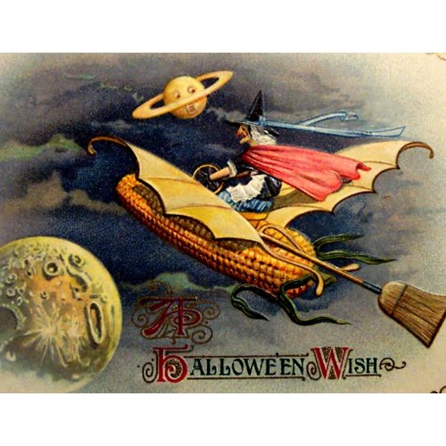 Vintage Witch Postcard postcard