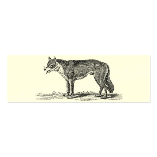 Vintage Wolf Illustration - 1800's Wolves Template Business Cards (front side)