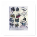 Vintage Women's Fashion  1800's posters