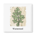Vintage Wormwood Magnet