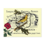 Vintage Yellow Bird Ephemera Collage Vintage Yellow Bird Ephemera Collage