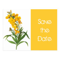 vintage yellow flowers save the date postcard. postcards