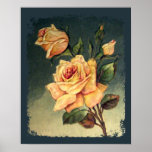 Vintage Yellow Roses Poster