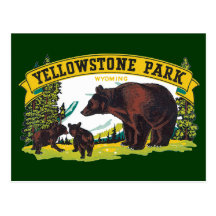 Vintage Yellowstone National Park with Brown Bears Postcard