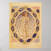 Vintage Zodiac Chart, 1416 Print