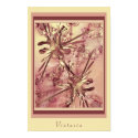 Vintasia posters by trigness Vintasia posters