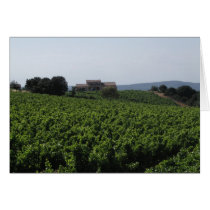 Vinyard Avignon cards by suzanneknorr Vinyard Avignon cards