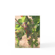 Vinyard Notecard