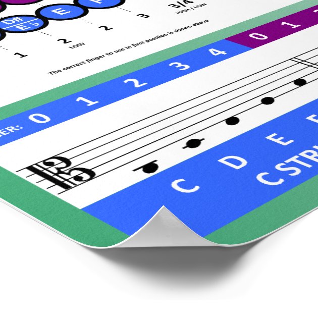 Viola Fingering Chart Poster Zazzle