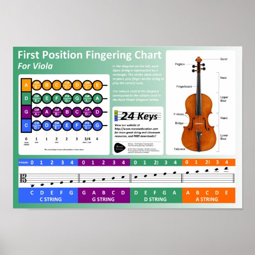 Viola Fingering Chart Poster Zazzle