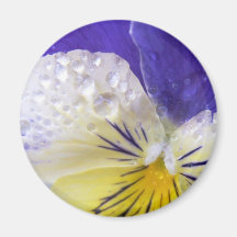 Viola Flowers Circular Magnet