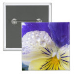 Viola Flowers Square Pin