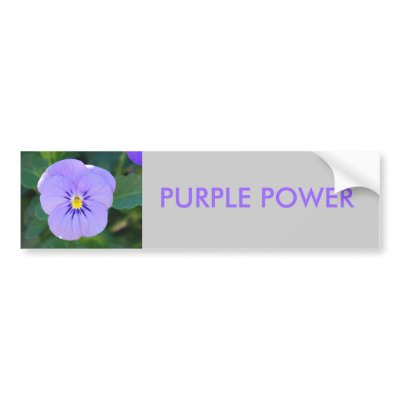 Viola Purple