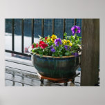 "Viola Rain" Posters