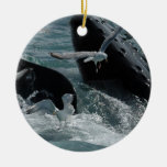 Violación de los ornamentos de la ballena jorobada ornamentos para reyes magos