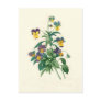 Violas by Pierre-Joseph Redouté Post Card
