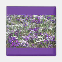 Violas Refrigerator Magnet