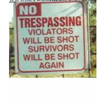 violators t-shirts