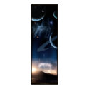 Violent Splendor posters