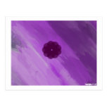 Violet 17 postcards