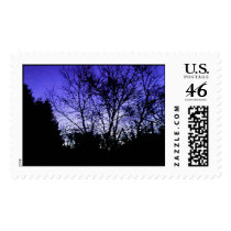 Violet and Blue Morning postage