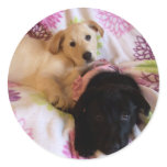 violet and Data sticker
