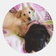 violet and Data sticker