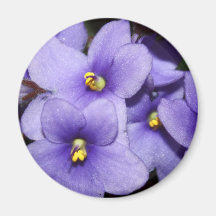 Violet Boquet Refrigerator Magnets
