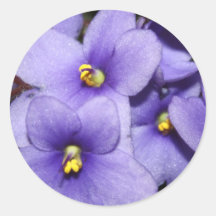 Violet Boquet Stickers